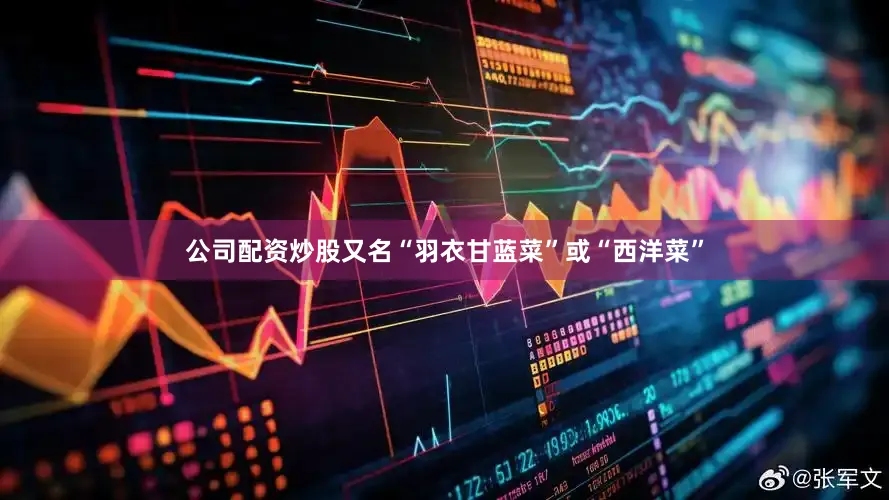 公司配资炒股又名“羽衣甘蓝菜”或“西洋菜”